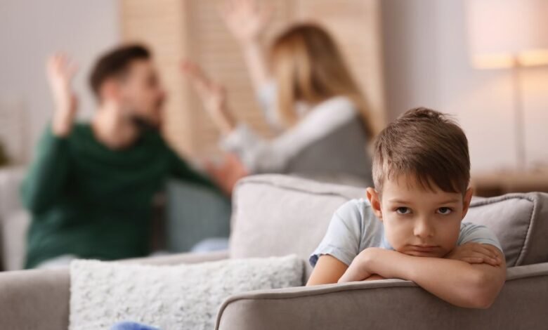 Virtual visitation rights in child custody